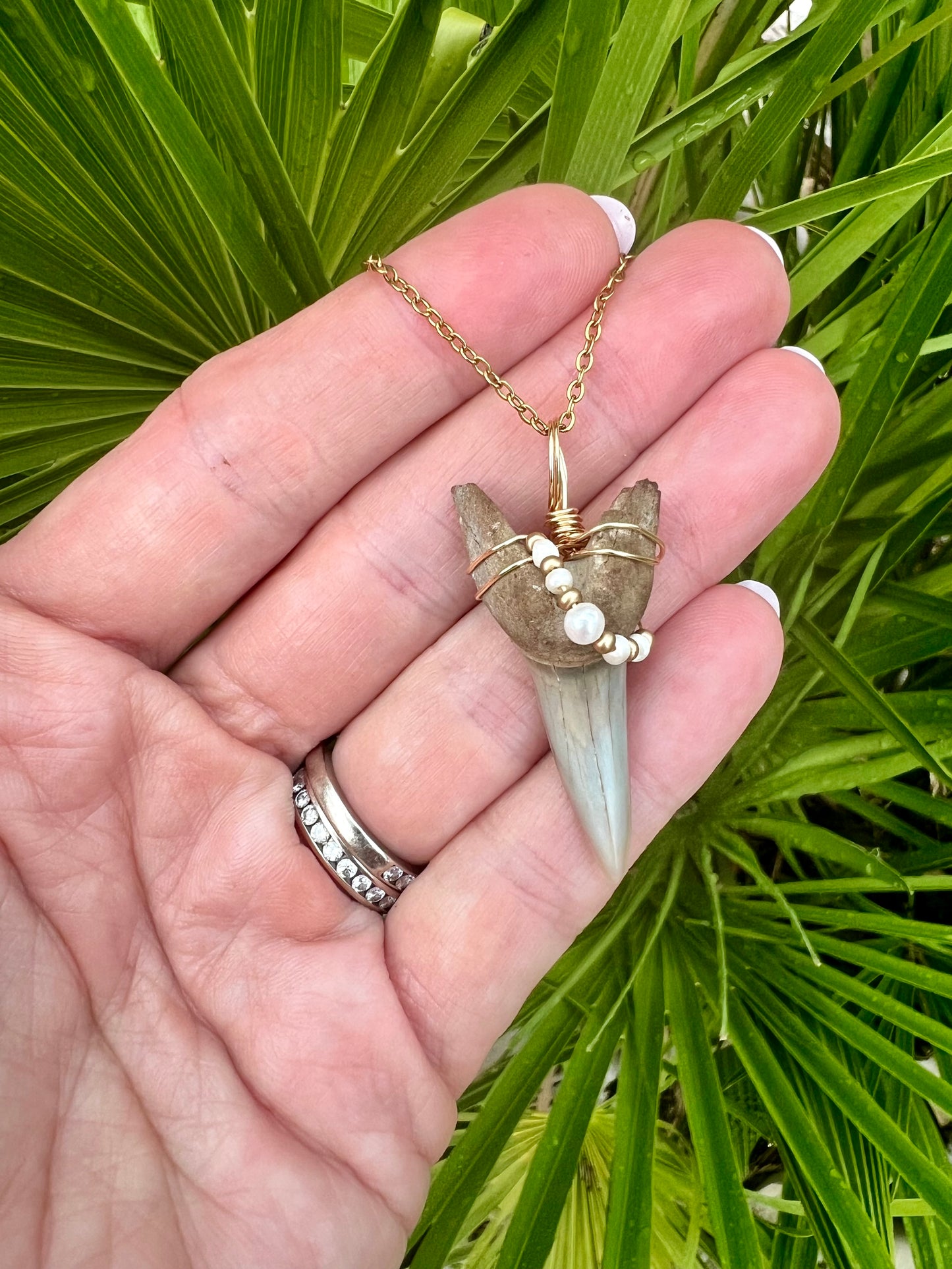 Shark tooth necklace with mini freshwater pearls