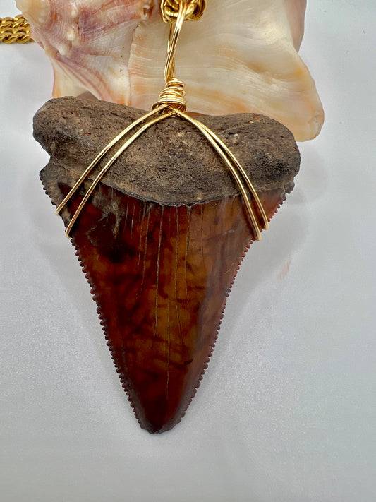 HUGE Chocolate Caramel Great White Shark Tooth Necklace 2.2”