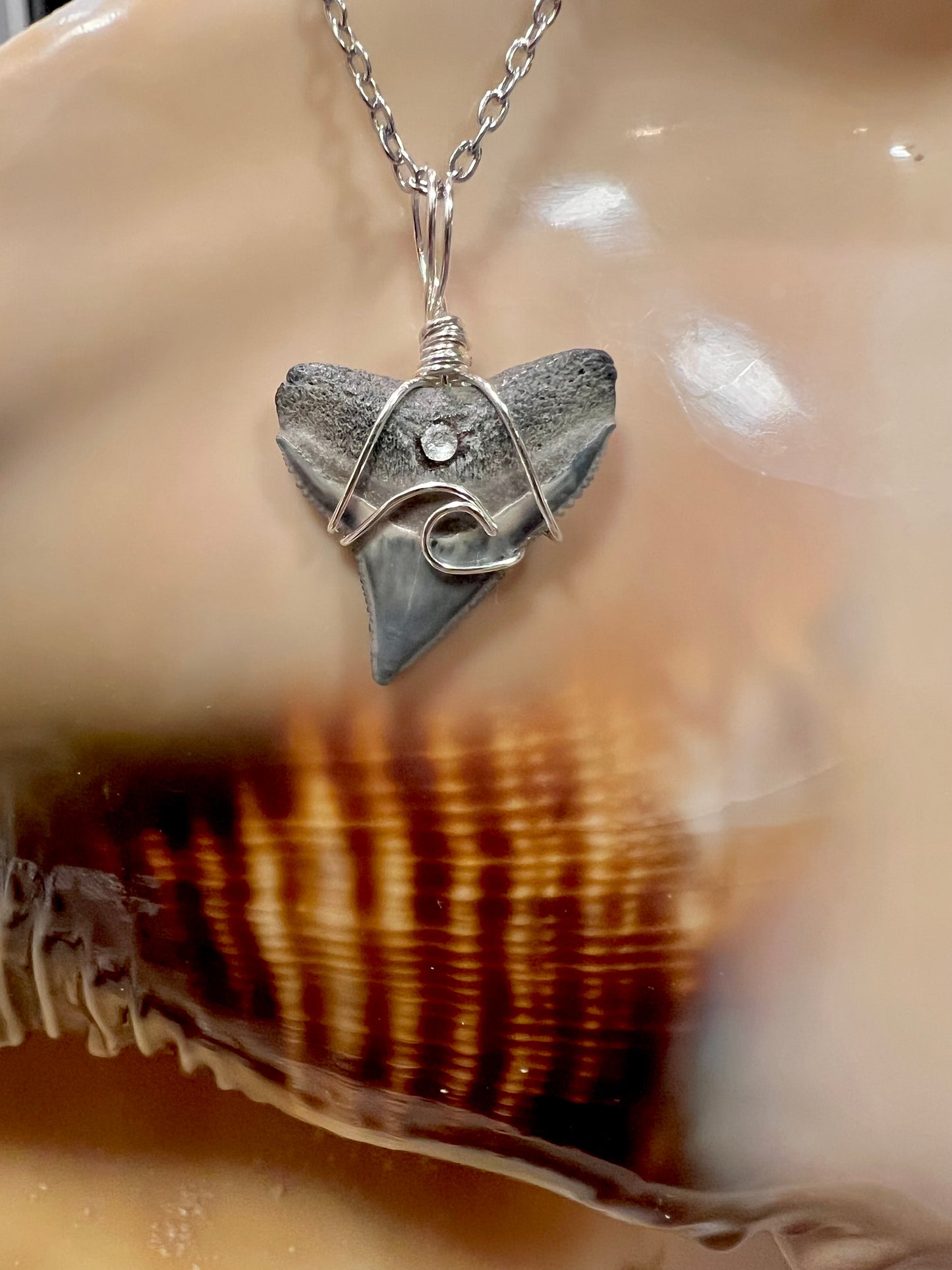 Coastal Dreams- Bull Shark Tooth + Crystal + Wave Design