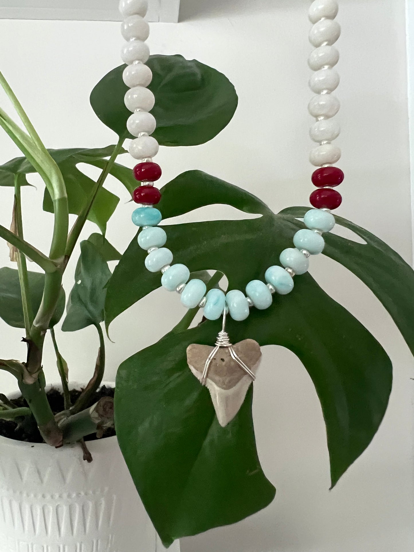 Americana Collection- Red, White, & Bulls- Coastal Carolina Bull Shark tooth necklace