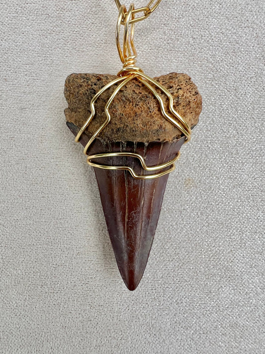 Cabernet Mako 1.67”