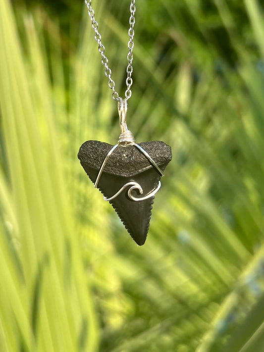Making Waves-Large Great White + Wave Design