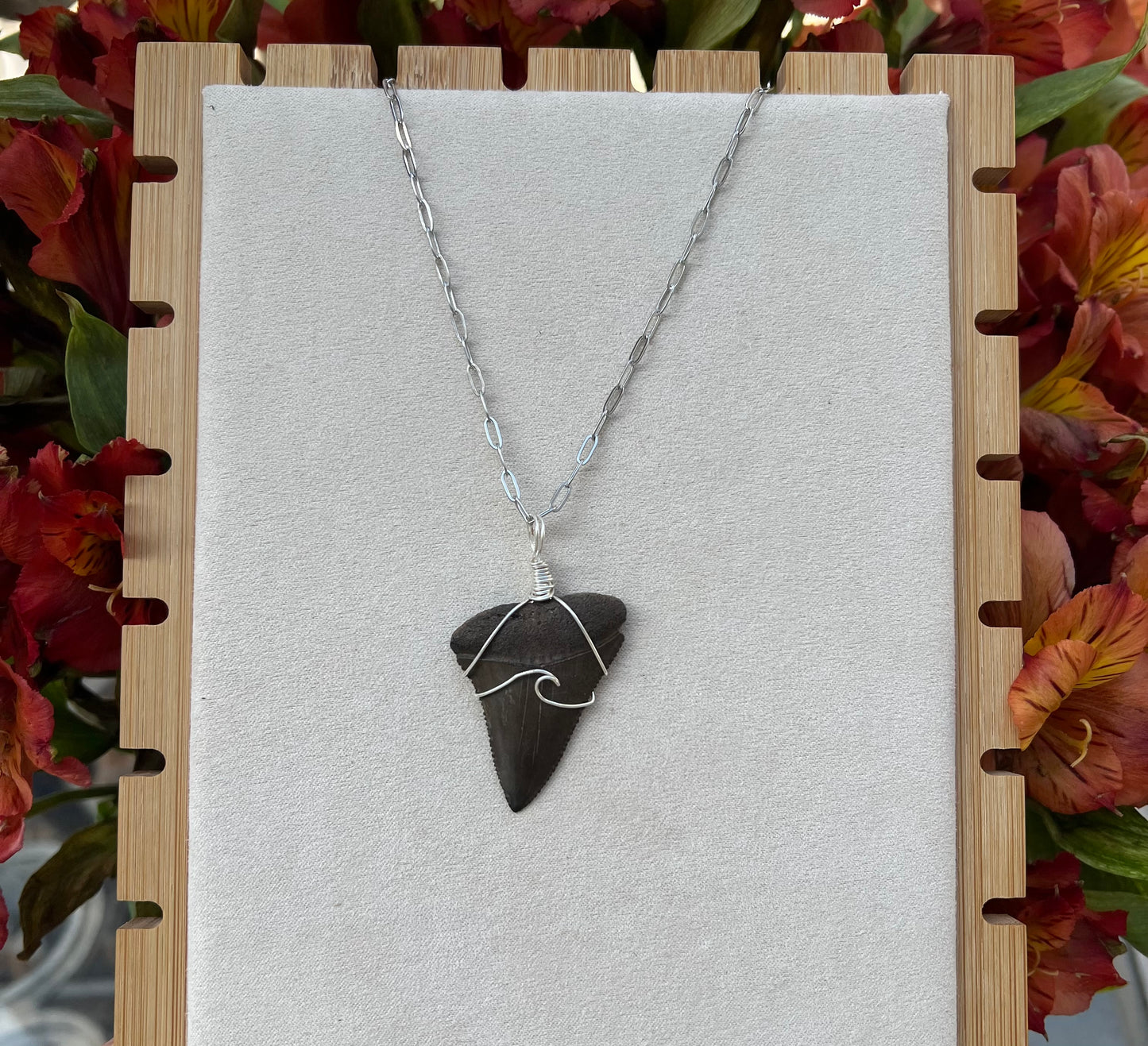 Chocolate Great White Shark Tooth Necklace- Silver