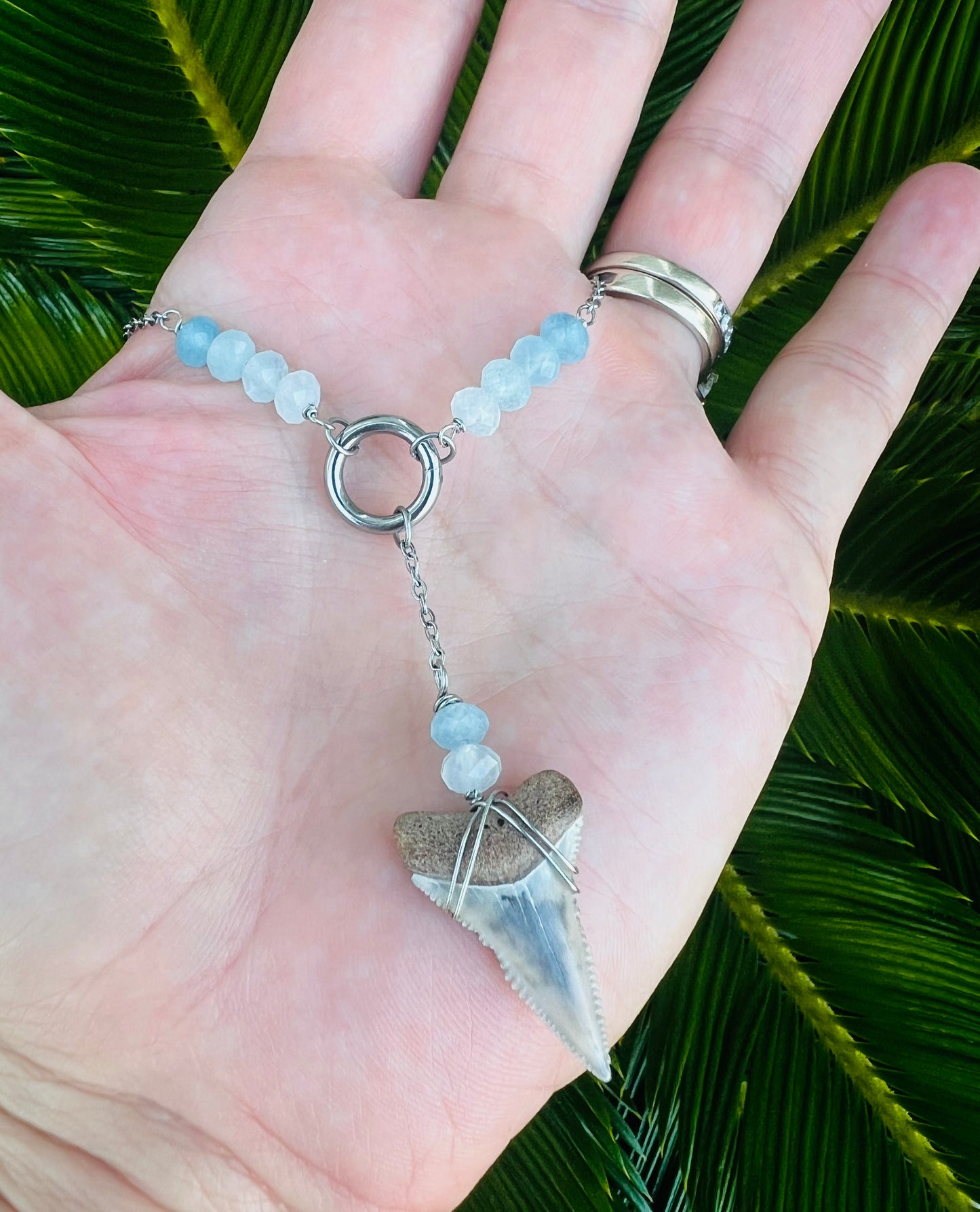 Aquamarine + Cream Great White Shark tooth necklace