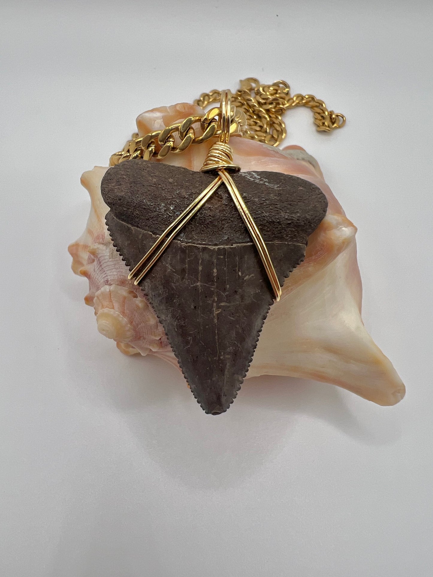 1.8” Chocolate Great White Shark Tooth Necklace