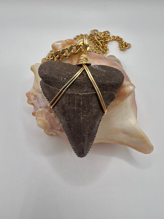 1.8” Chocolate Great White Shark Tooth Necklace