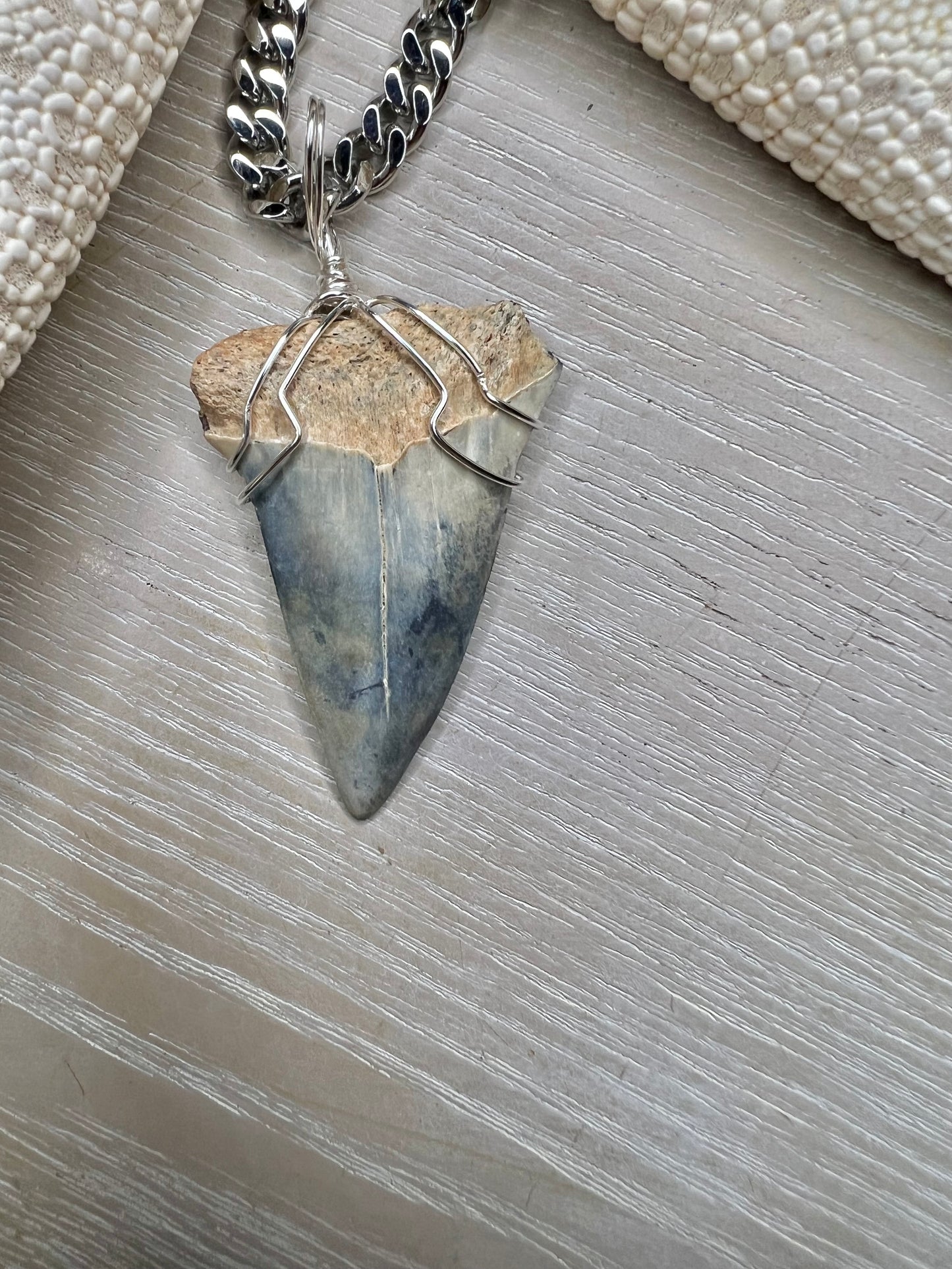 1.7” Icy Blue Mako