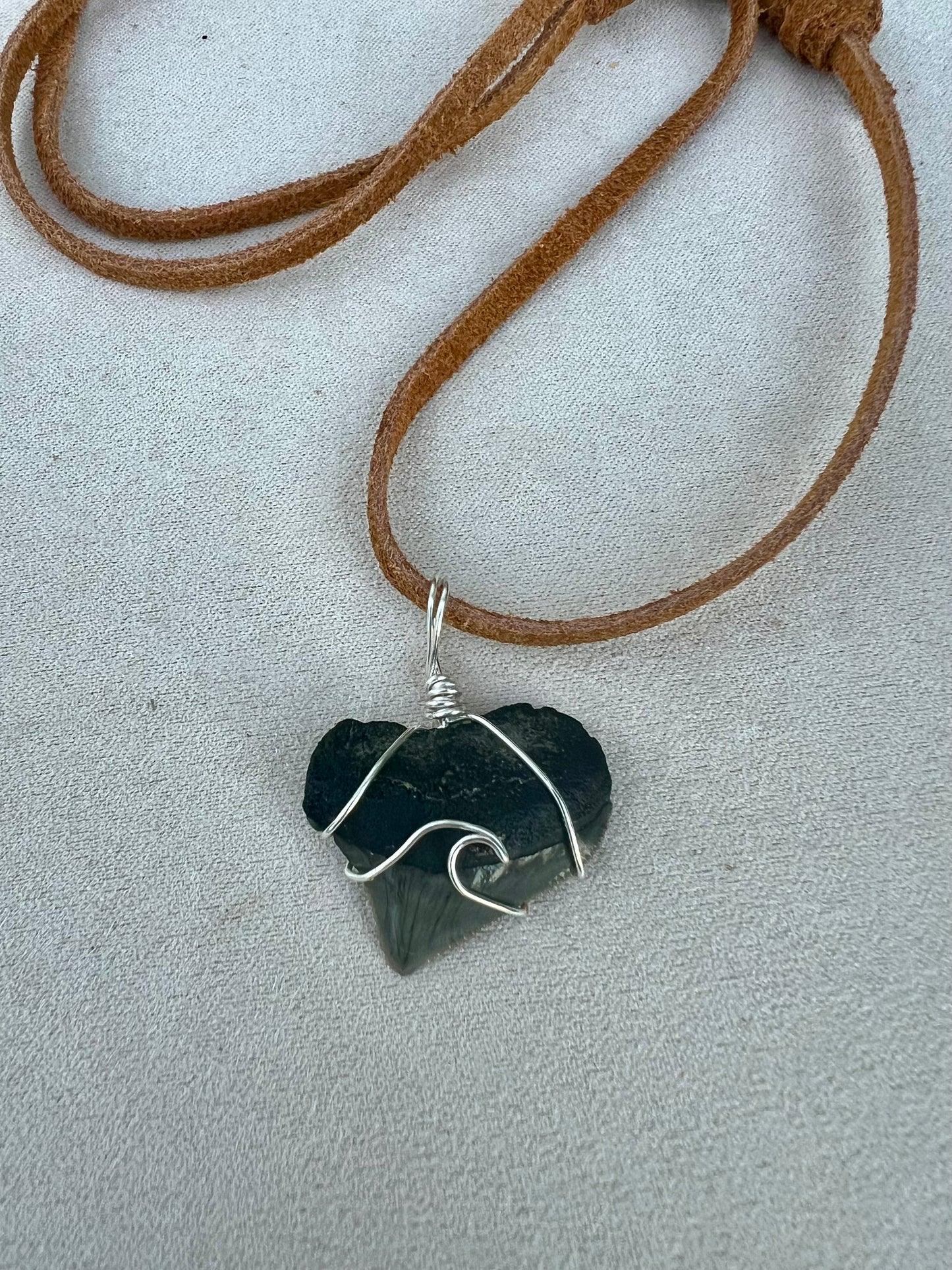 Tsunami- Crow shark tooth with adjustable leather chain