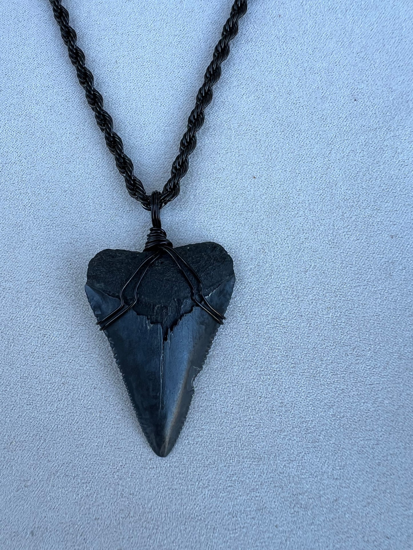 Jaws-1.9” Great White