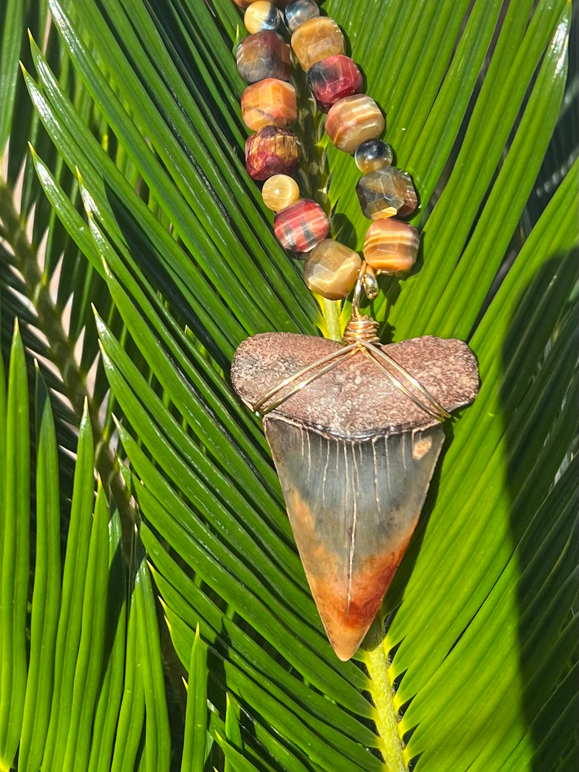 Ember Tide- STUNNING Hastalis Shark tooth with Tiger’s Eye Gemstone Bead Necklace