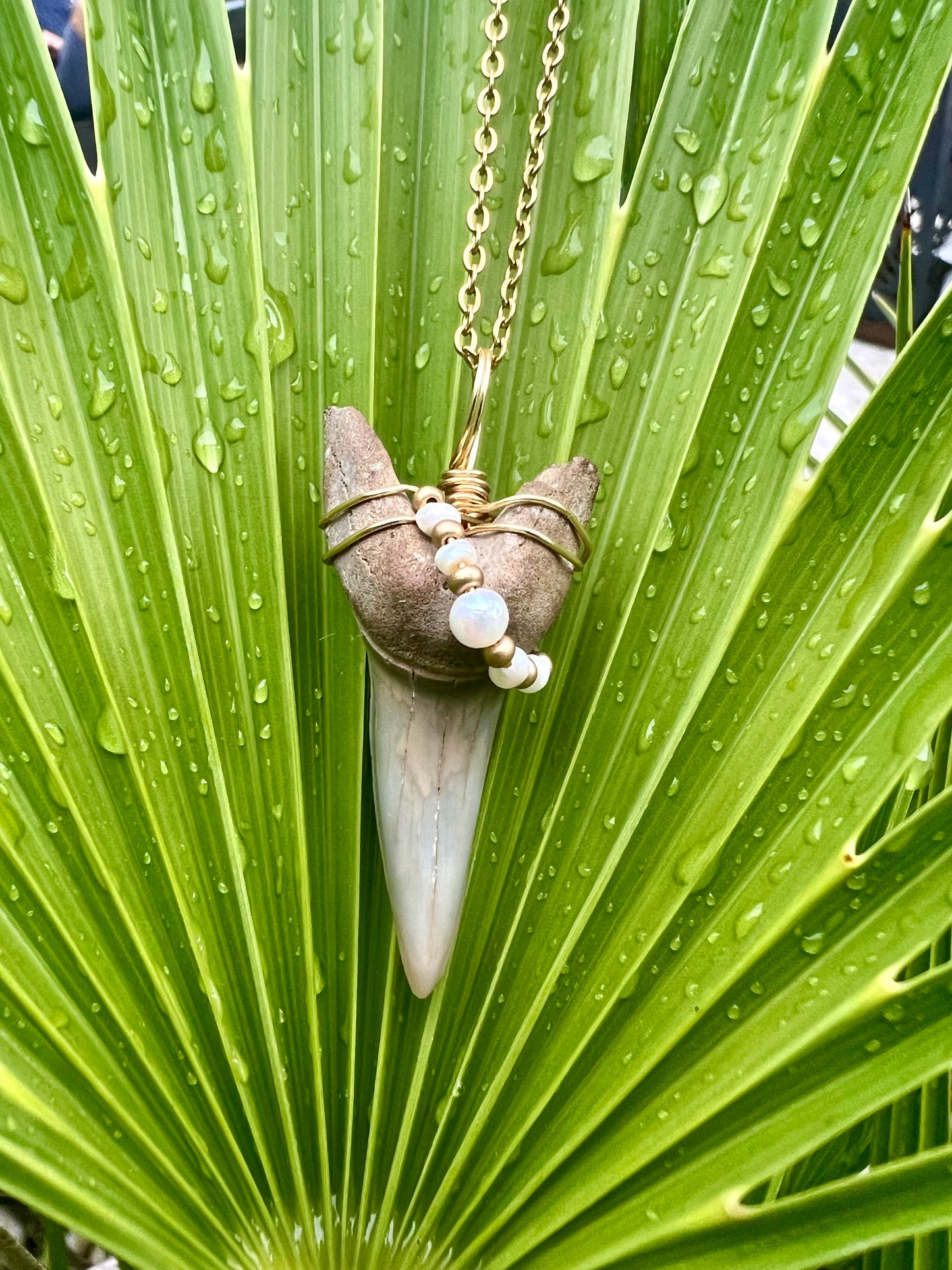 Shark tooth necklace with mini freshwater pearls
