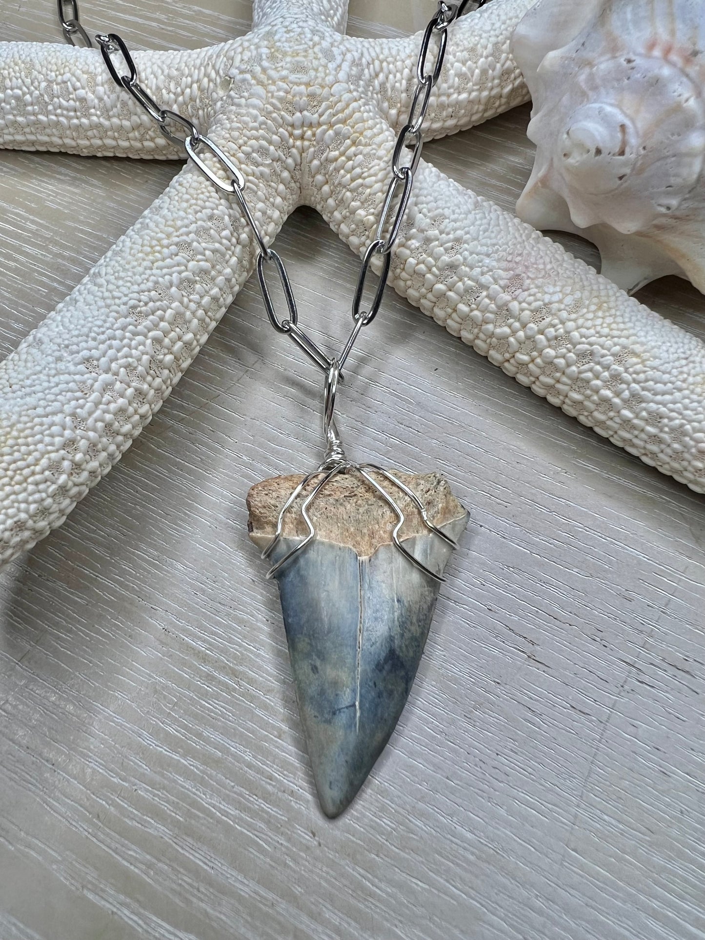 1.7” Icy Blue Mako