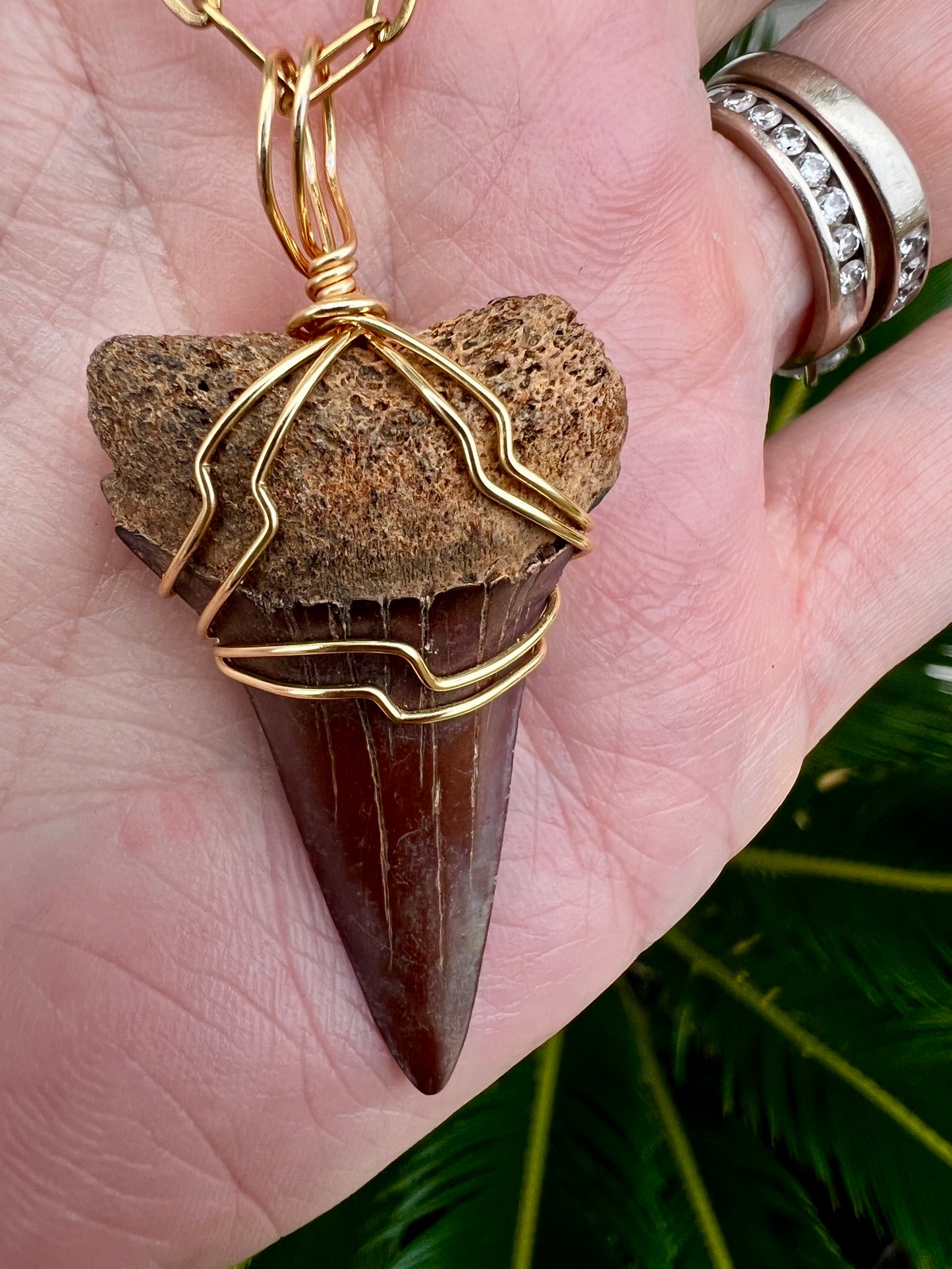 Cabernet Mako 1.67”