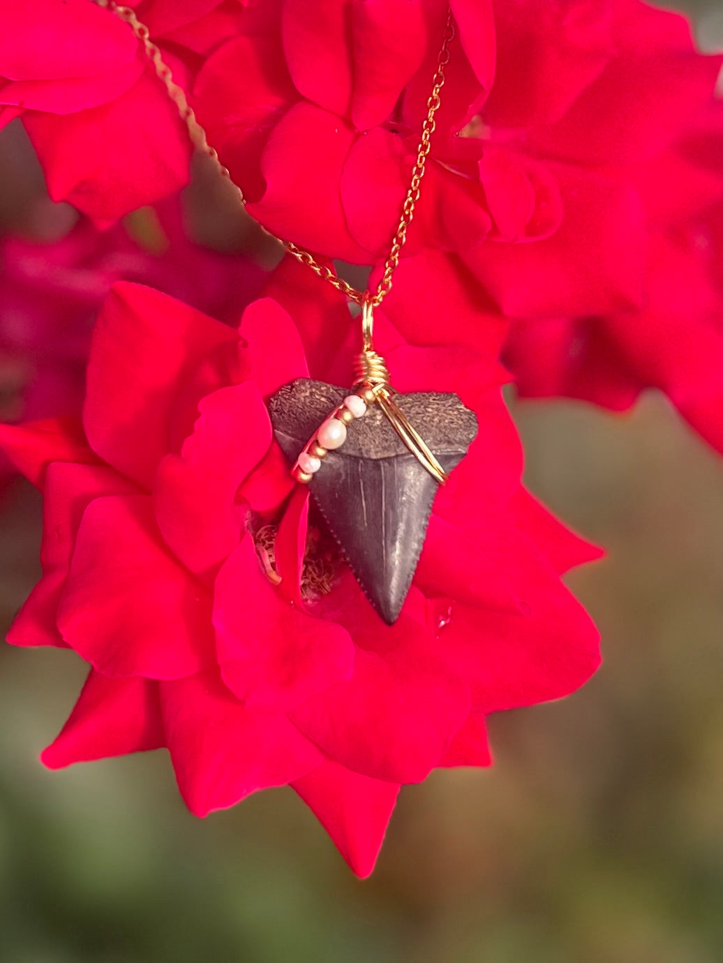 Great White Shark tooth necklace with freshwater pearls