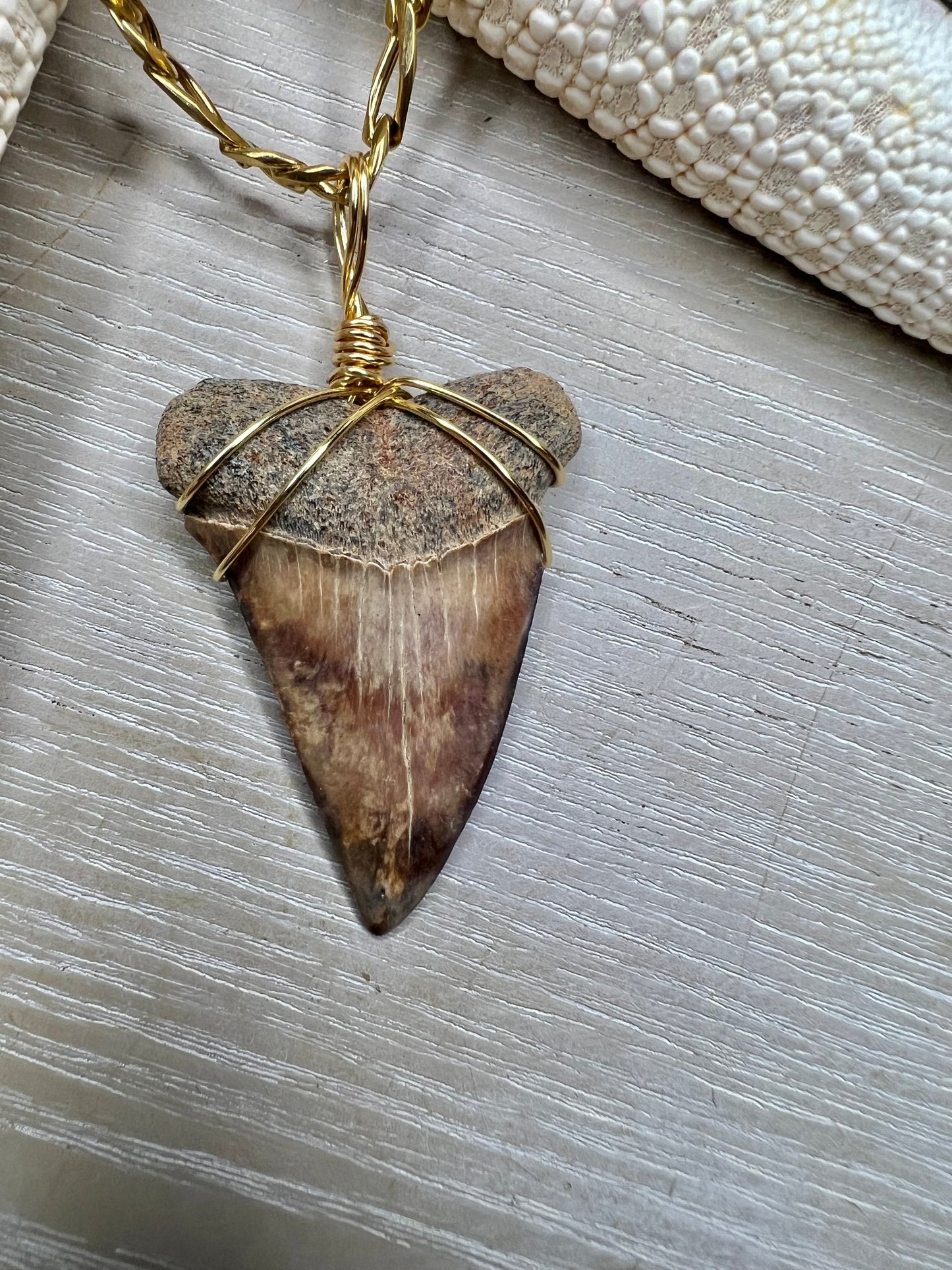 Cocoa Mako - 1.6” stunning mako