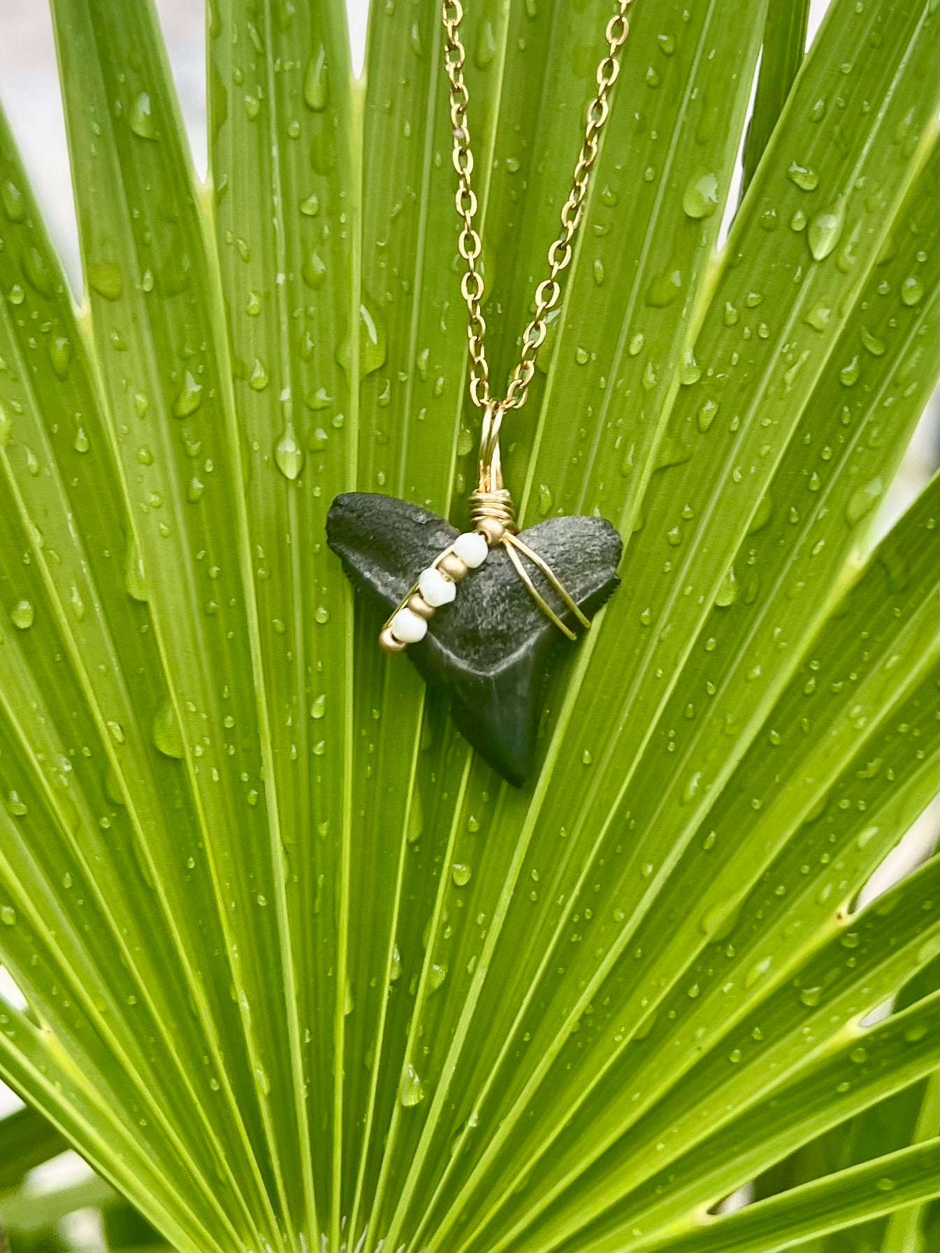 Shark tooth necklace with freshwater pearls