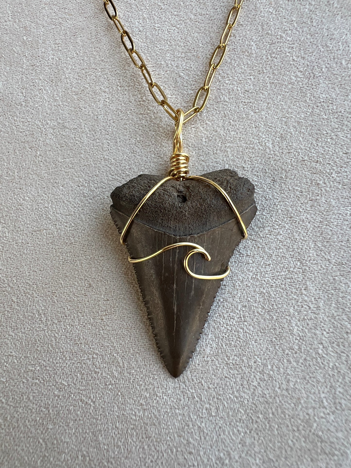Chocolate Great White Shark Tooth Necklace- Gold