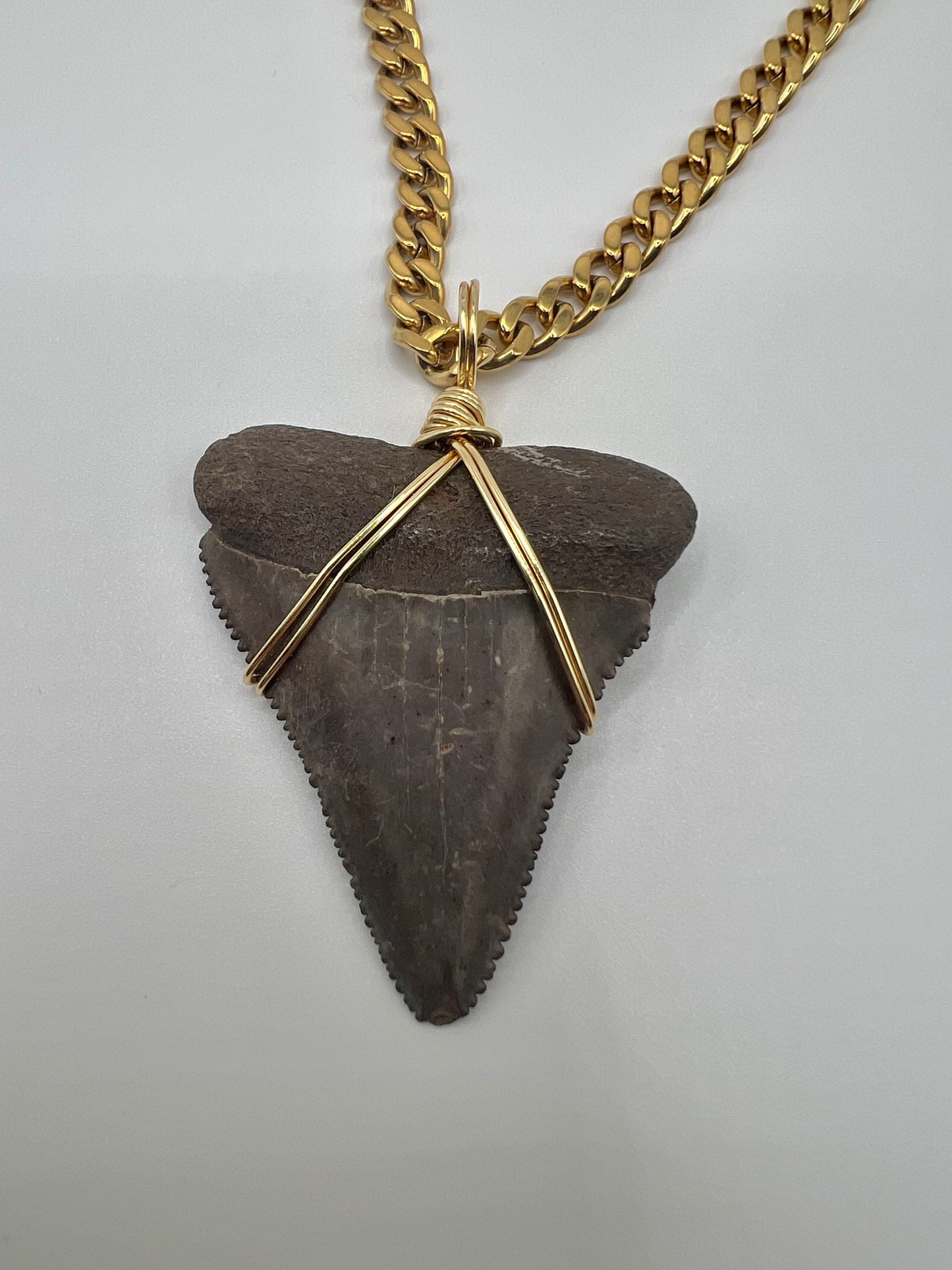 1.8” Chocolate Great White Shark Tooth Necklace