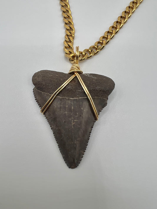 1.8” Chocolate Great White Shark Tooth Necklace