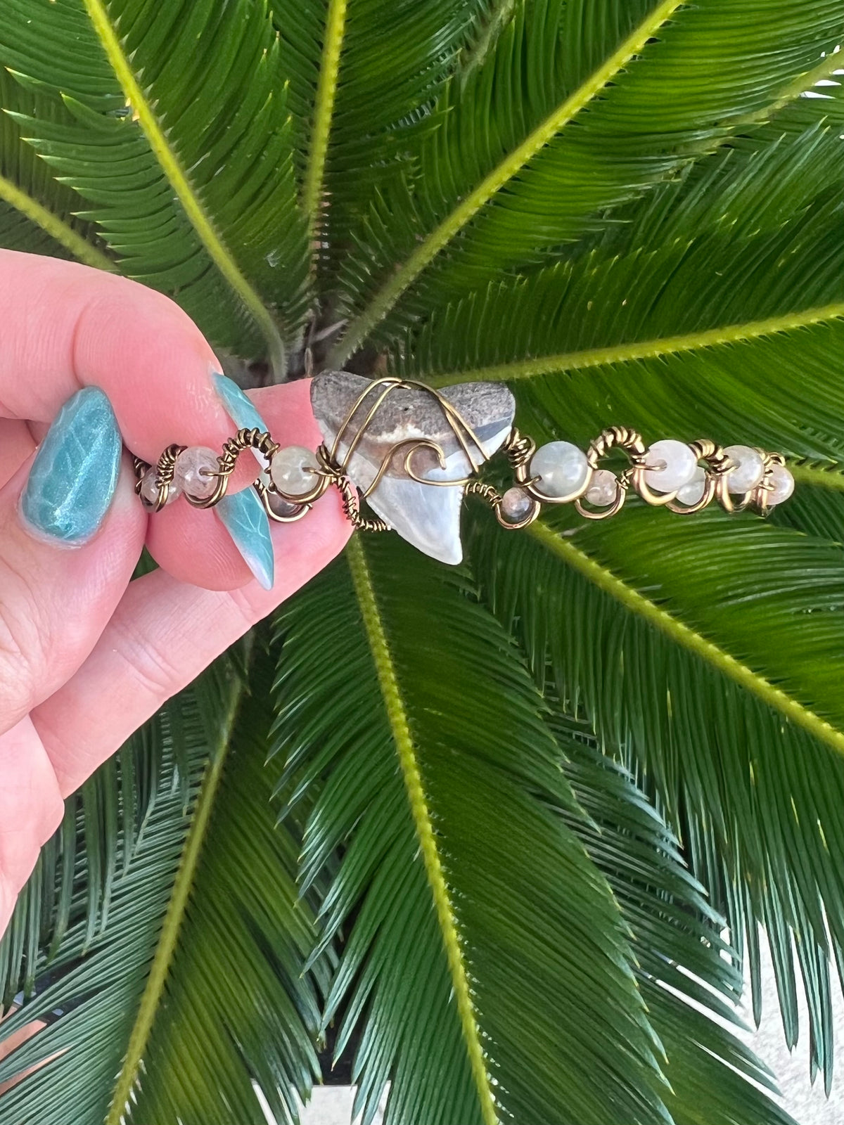 Shark tooth + moonstone bronze cuff bracelet