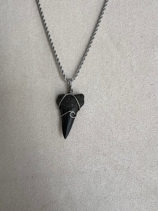 Making Waves- lower Great White 1.2”