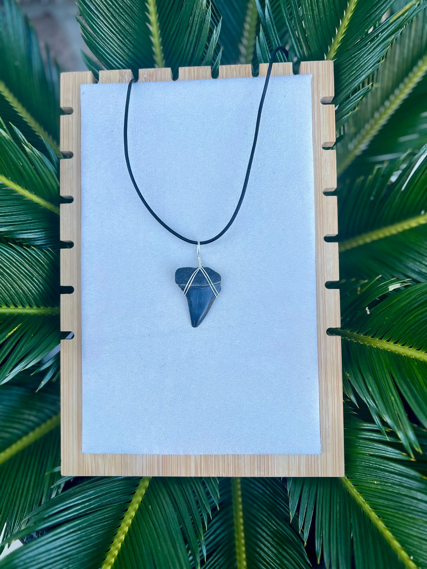 Ocean Master- 1.4” Great White