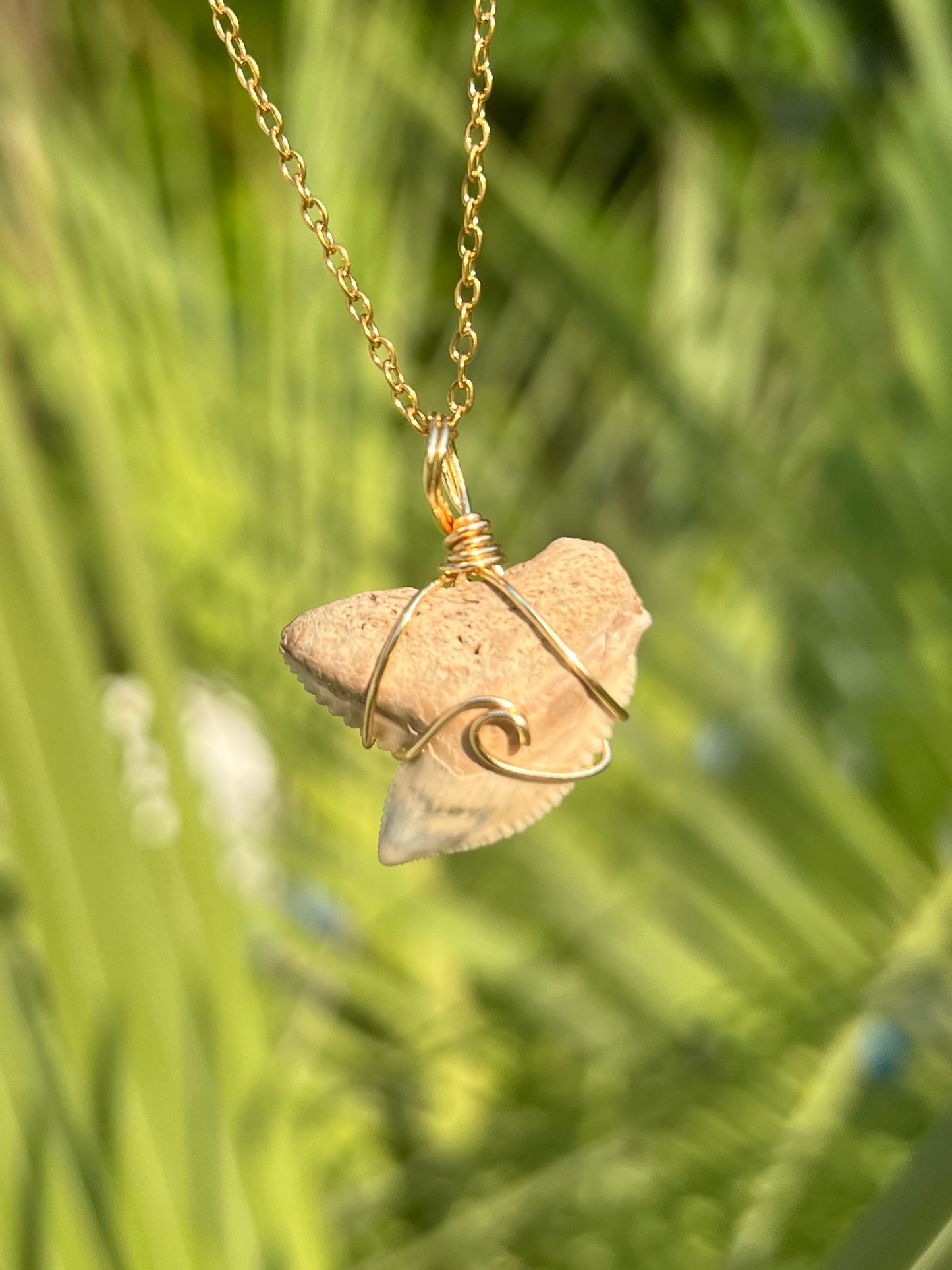 Carolina Cream Tiger Shark Tooth with Wave Design Necklace
