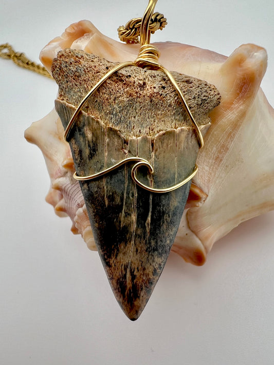 Unique 2” Hastalis with blue/tan shades and Gold Wave wrap