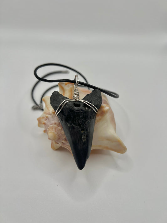 2.29” Angustiden Shark Tooth Necklace- Ancient Ocean Relic