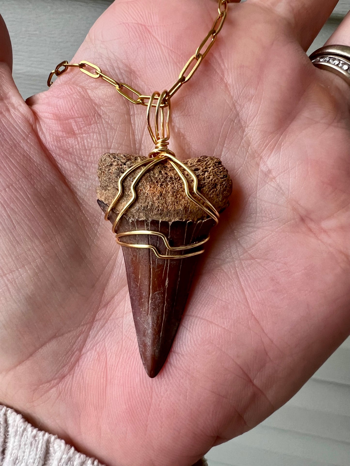 Cabernet Mako 1.67”