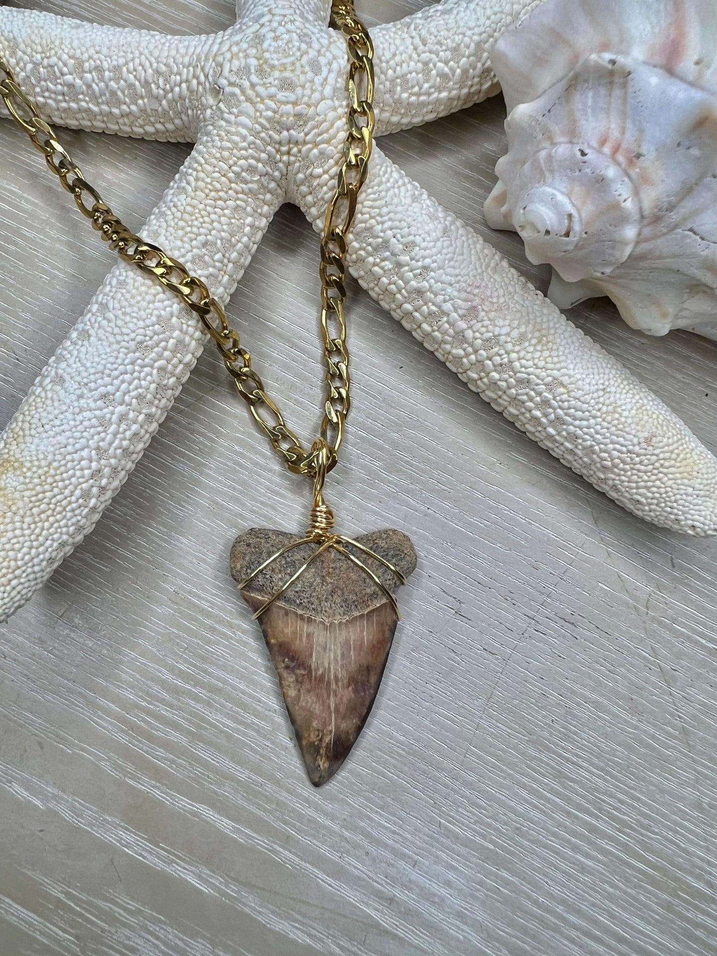 Cocoa Mako - 1.6” stunning mako