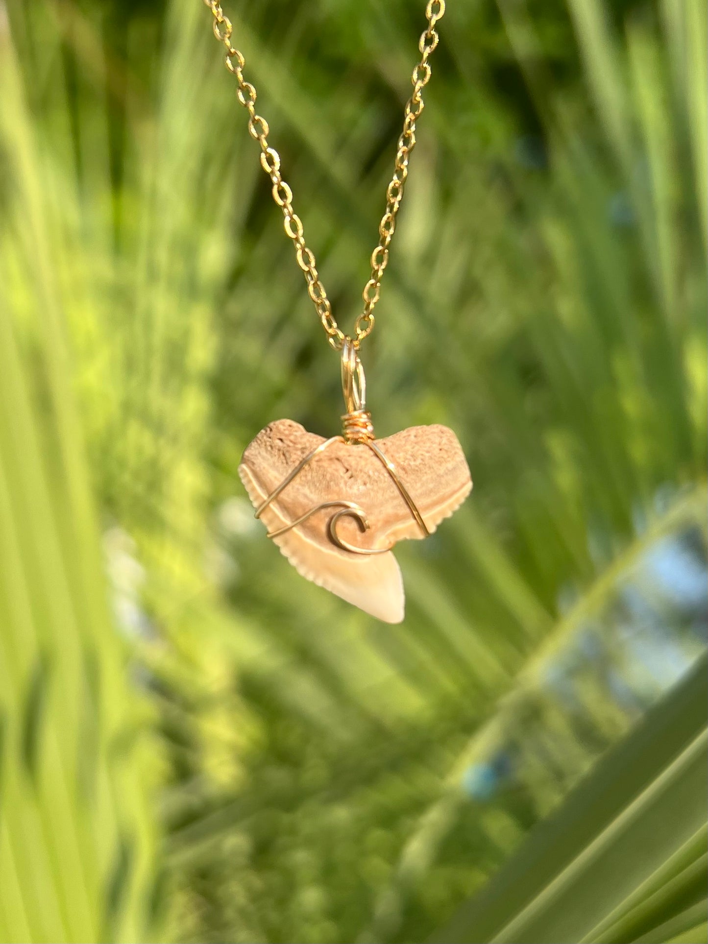 Carolina Cream Tiger Shark Tooth with Wave Design Necklace