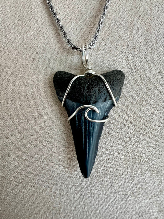 Making Waves -Lower Great White 1.3”