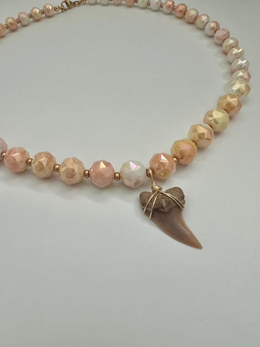 Sorbet Planus Shark Tooth Necklace with Crystal Beads