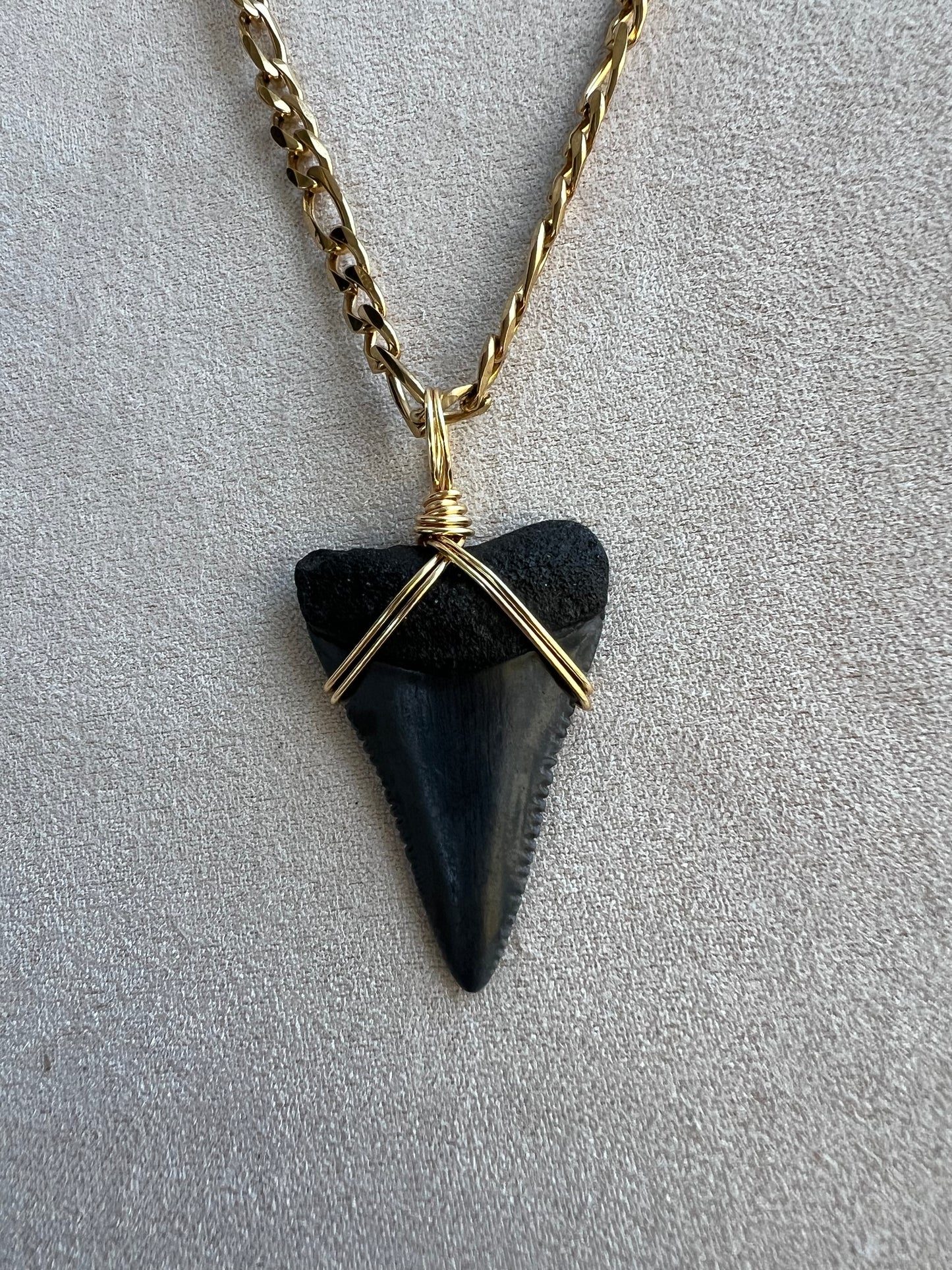 Ocean Master- 1.4” Great White