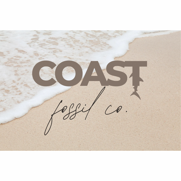 COAST Fossil Co.