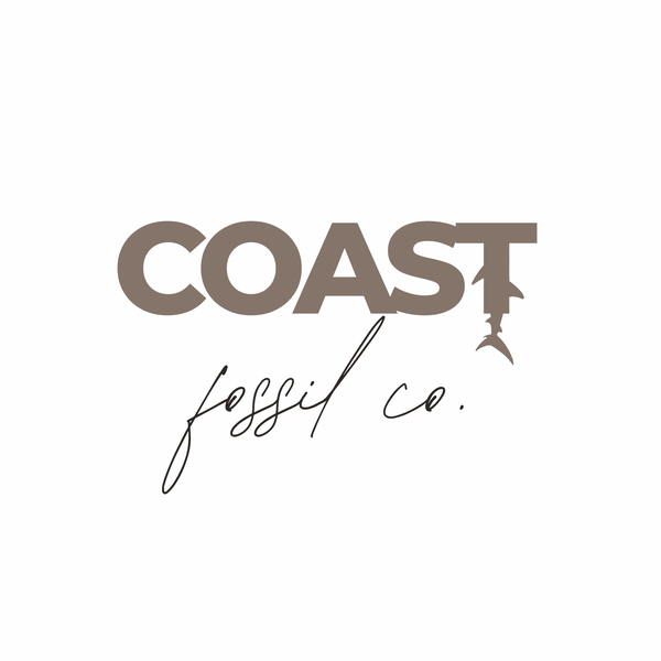 COAST Fossil Co.