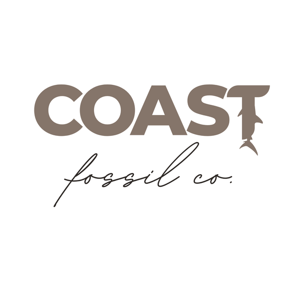 COAST Fossil Co.