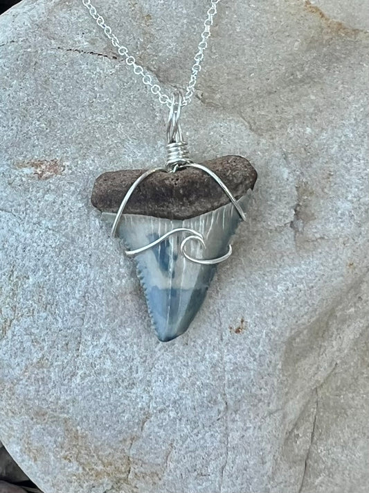 Great White with wave design- unique colors
