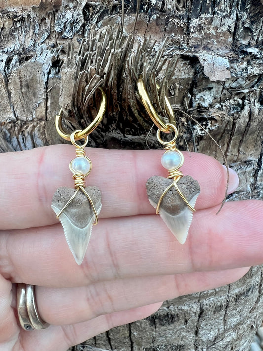 Coastal Hoops-Cream Bull Shark and Freshwater Pearl