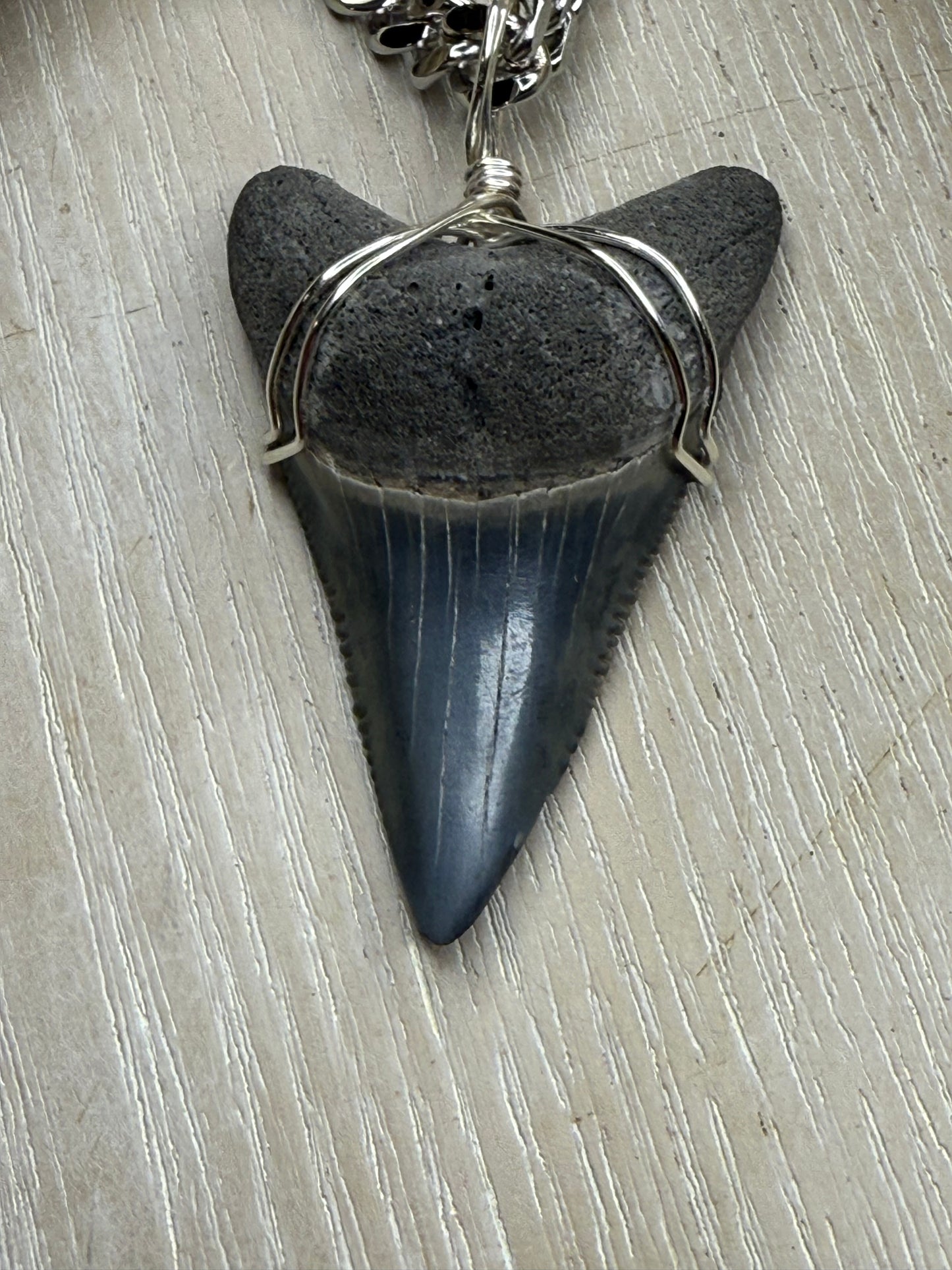 1.7” Rare Lower Great White