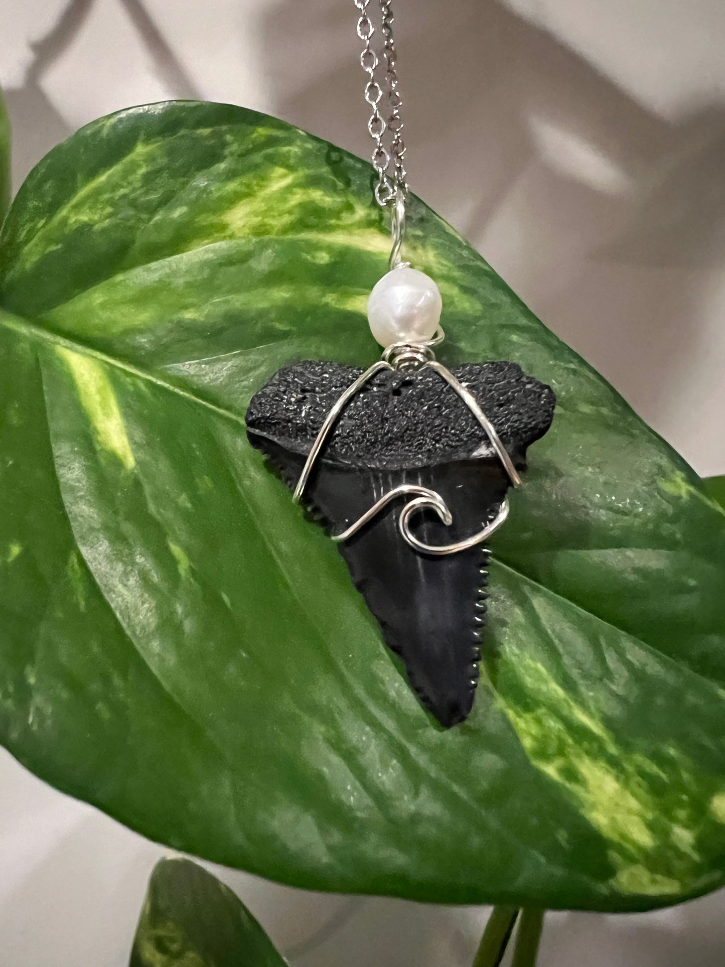 Pearly White- Great White Shark Tooth + Pearl and Wave Design