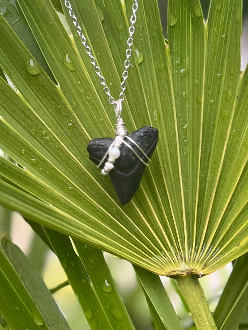 Bull Shark tooth necklace with freshwater pearls