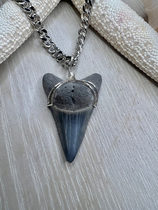 1.7” Rare Lower Great White