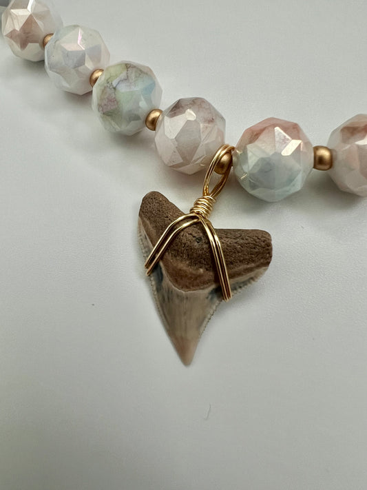 Cotton Candy Cream Bull Shark Tooth Necklace