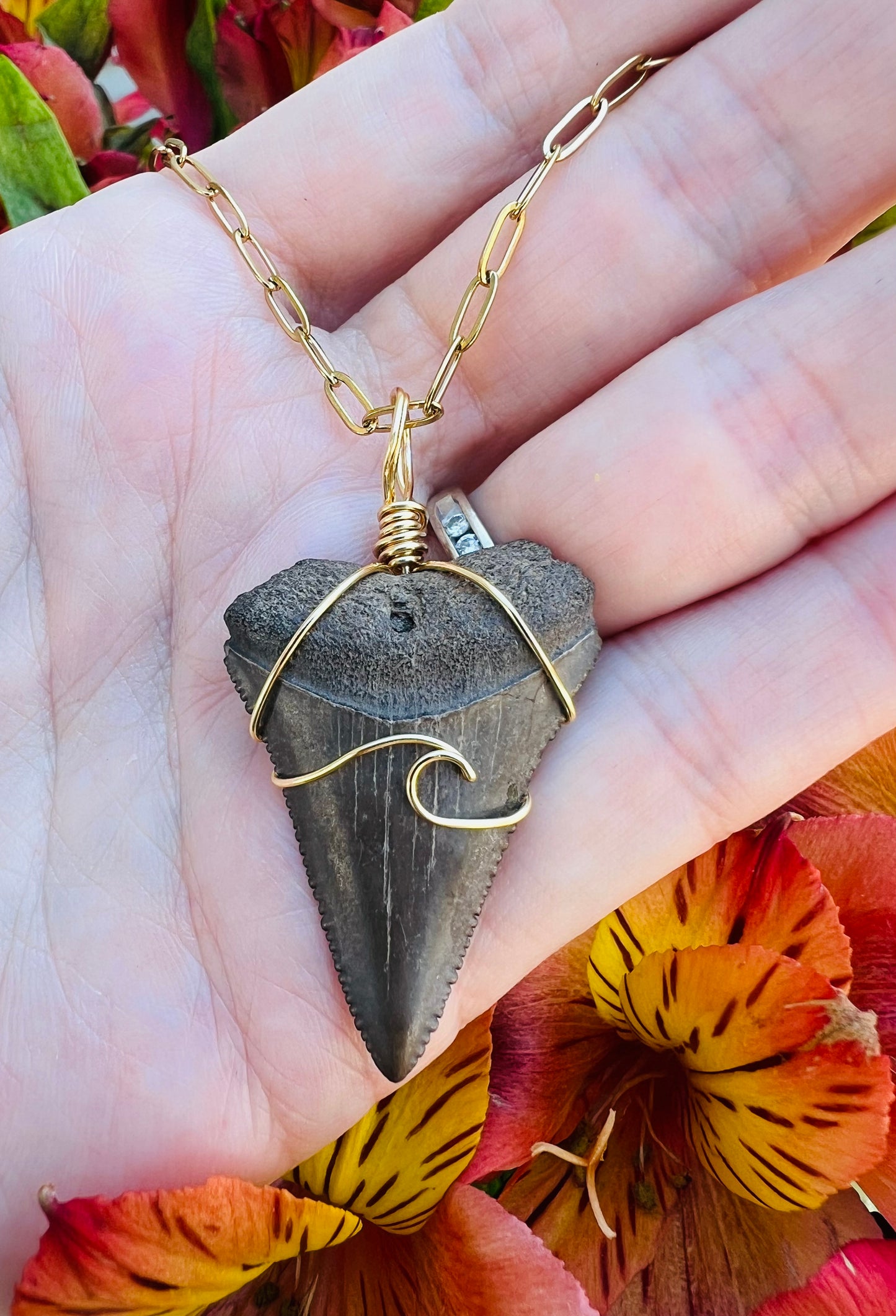 Chocolate Great White Shark Tooth Necklace- Gold