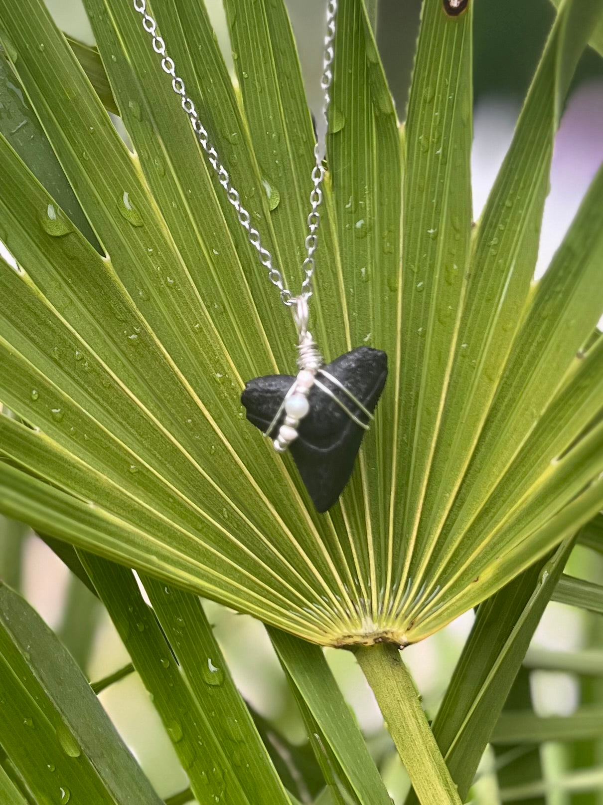 Bull Shark tooth necklace with freshwater pearls