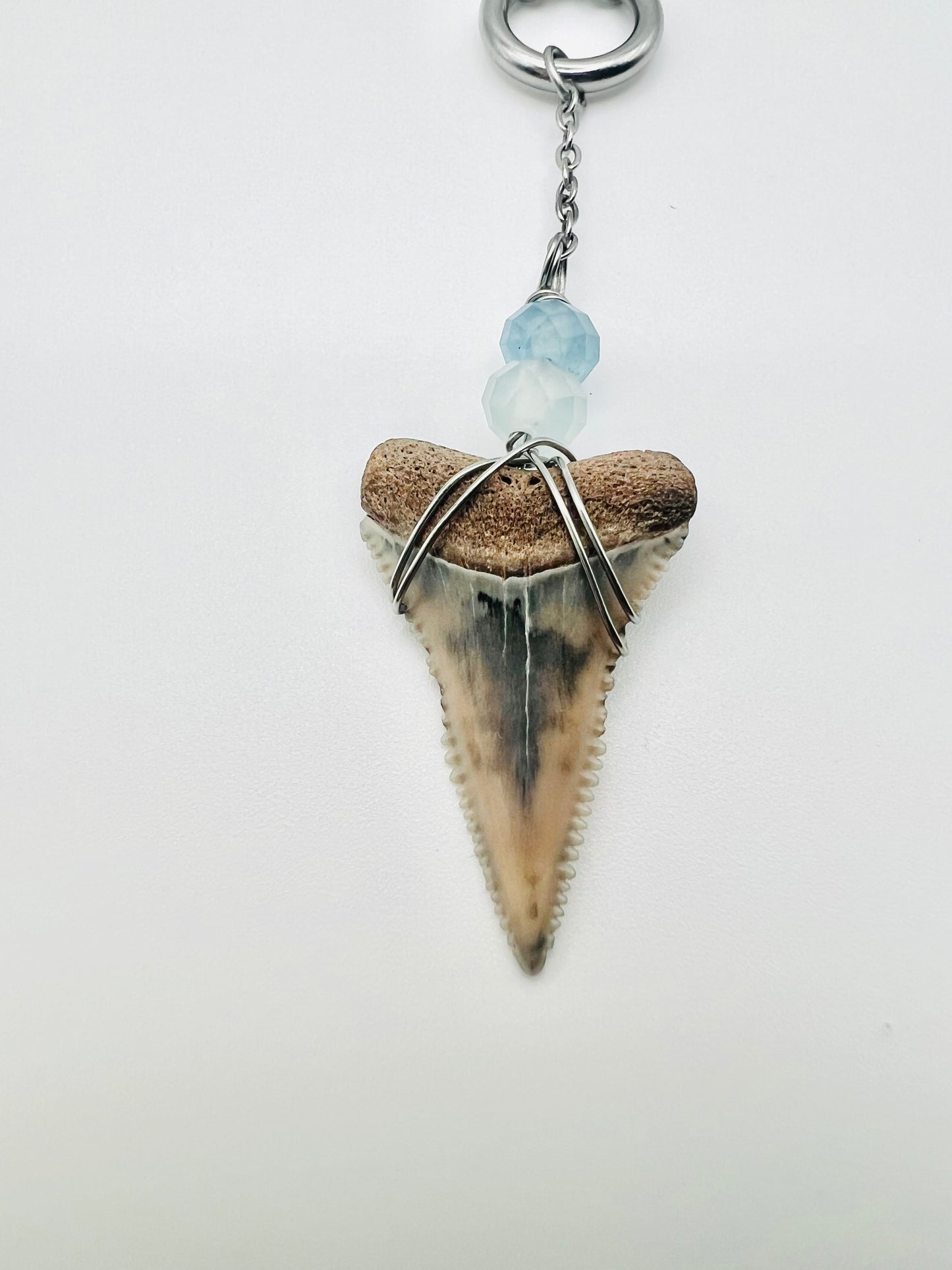 Aquamarine + Cream Great White Shark tooth necklace