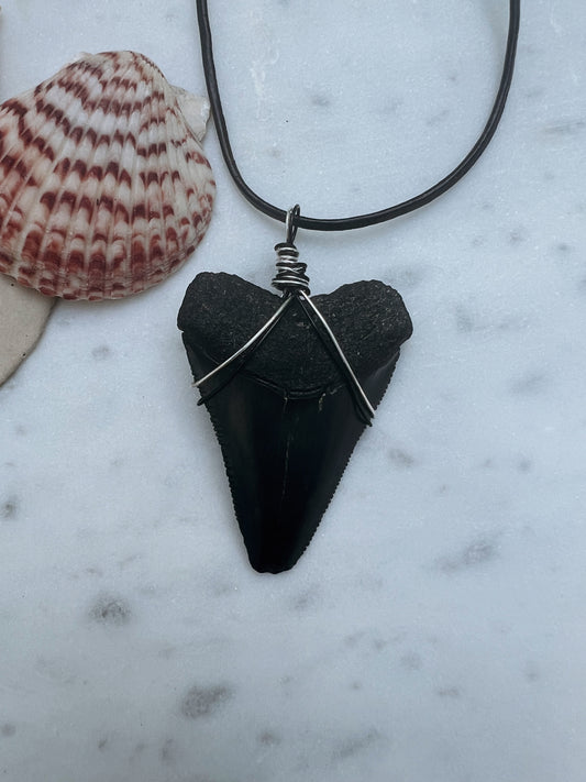 Jaws- XL Great White