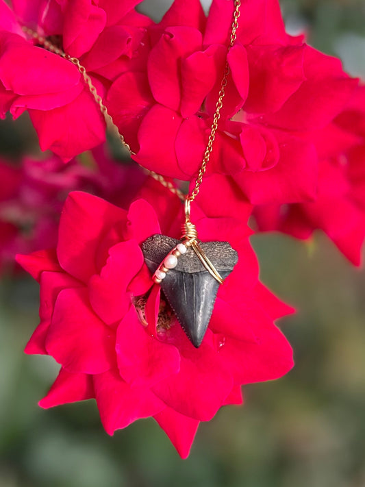 Great White Shark tooth necklace with freshwater pearls